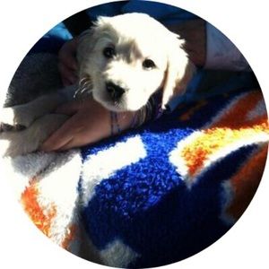 Meet your Posher, Andrew